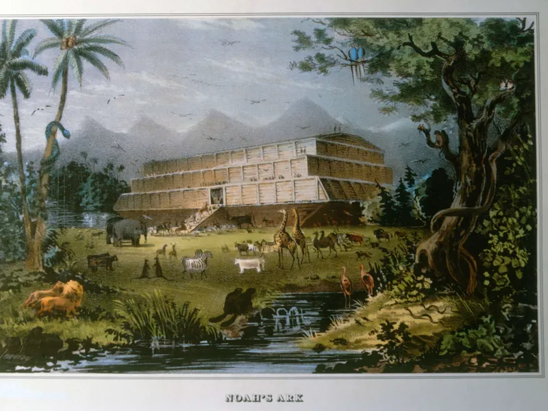 Napoleon Saronyn näkemys Nooan arkista.